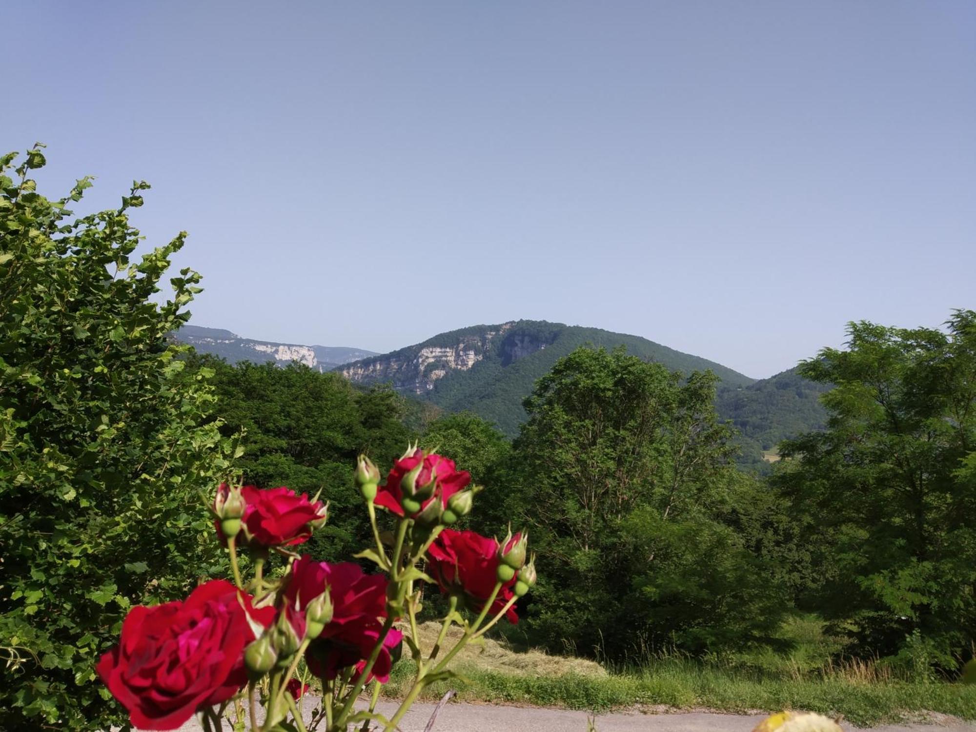 Au Chalet D'Anna Saint-Rambert-en-Bugey Zewnętrze zdjęcie